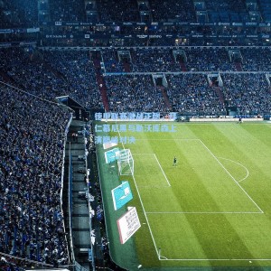 德甲联赛激战正酣，拜仁慕尼黑与勒沃库森上演巅峰对决