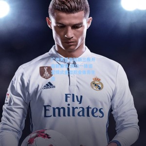 广州男篮登陆新三板开启新篇章 四位一体运营模式重塑职业体育生态